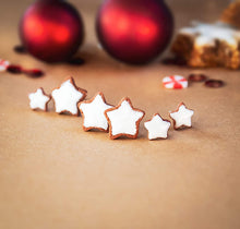 Zimtstern Mini - Ohrstecker Miniaturefood - Weihnachten