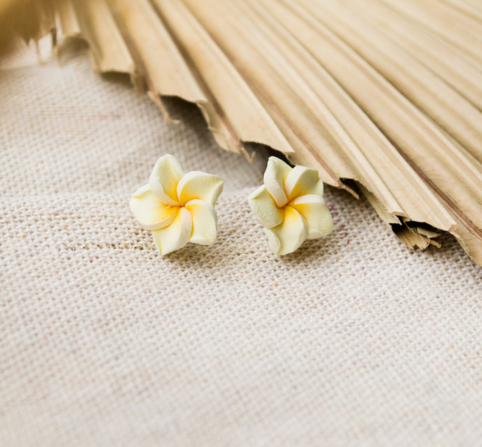 Summer Flowers  - Hawaii feeling Blüten Plumeria - Frangipani