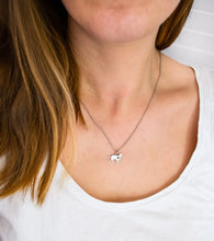 Hunde Kette - Edelstahl / 925er Sterlingsilber